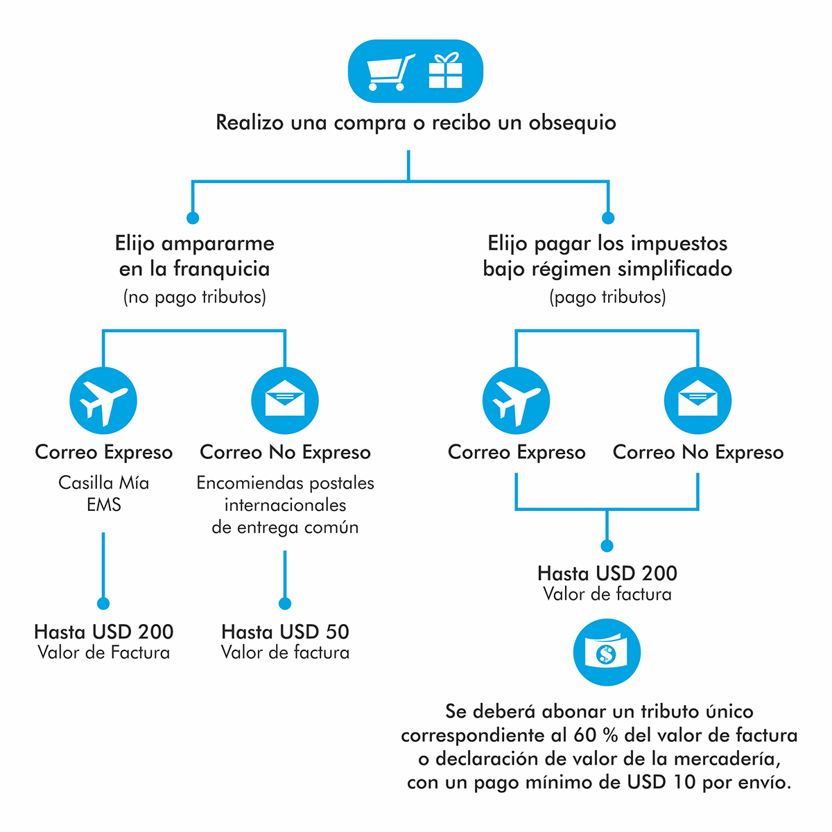 Infografía explicativa de las opciones de registro