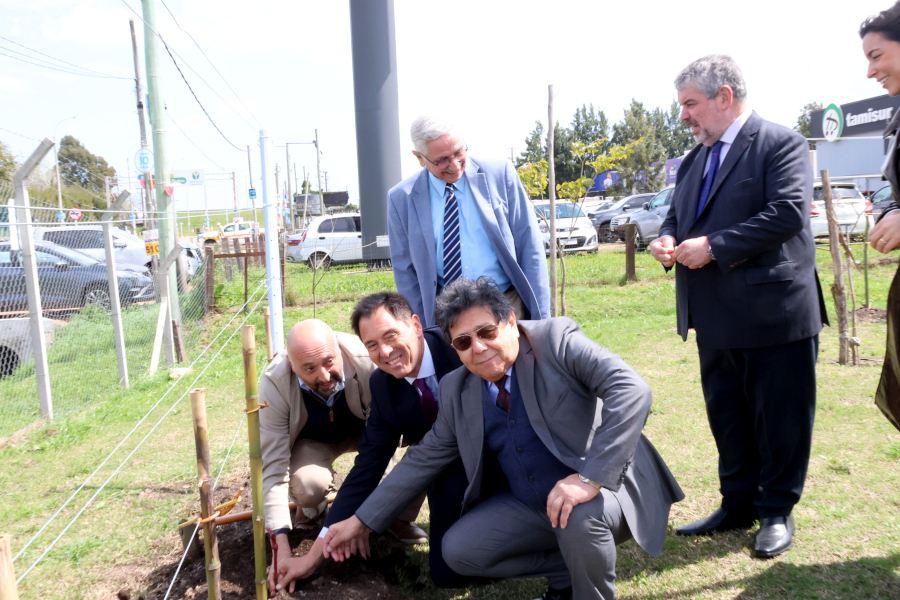 Las autoridades inauguraron una fila de viña