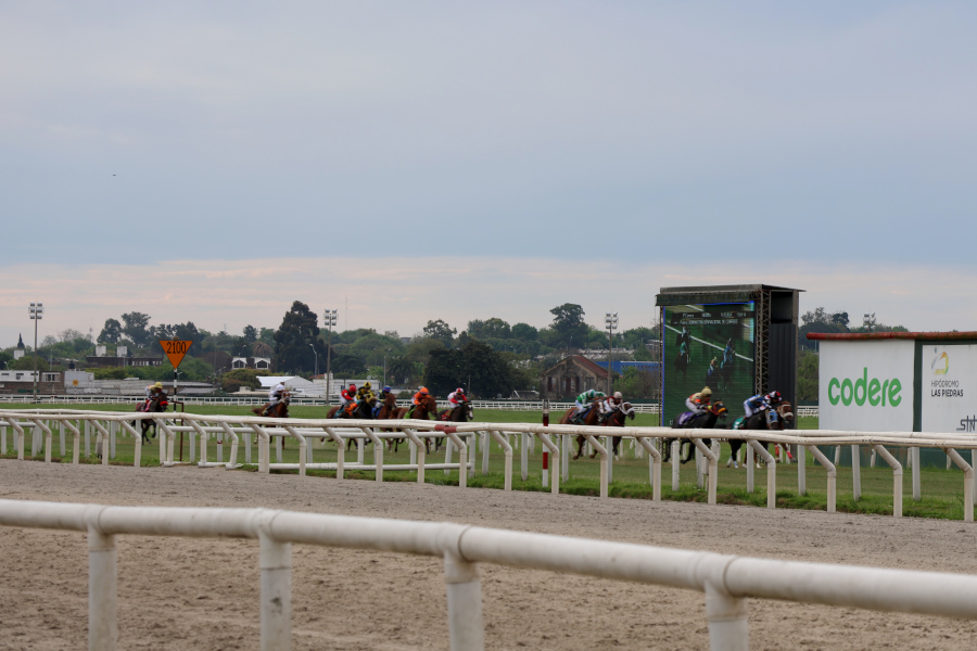 Caballos recorren la pista de césped del hipódromo