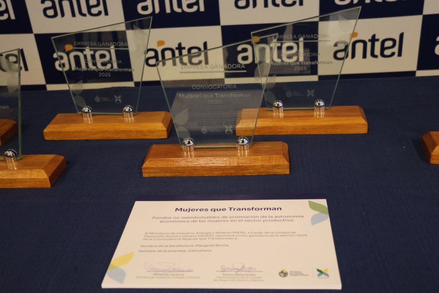 El Ministerio de Industria Energía y Minería (MIEM) realizó en la Sala Idea Vilariño del Complejo Torre de las Telecomunicaciones una actividad bajo la consigna “Más oportunidades, más autonomía económica. Cuando todas las mujeres avanzan, la sociedad avanza”.