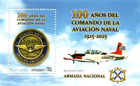 Nave de la Aviación Naval